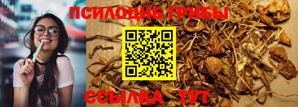 Галлюциногенные грибы Magic Shrooms Донской